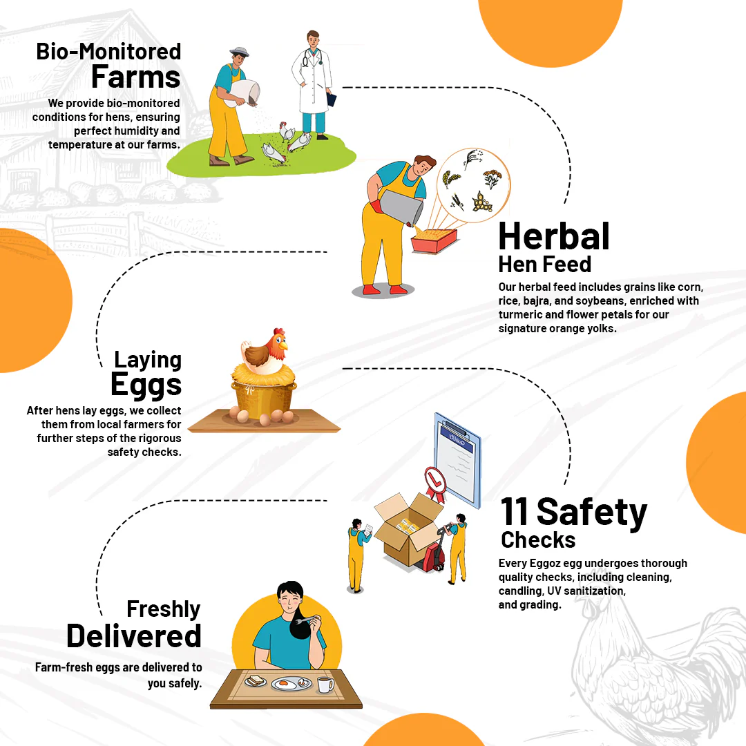 Free-Range Eggs - Image 4